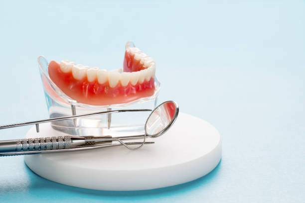 Best Dental Exams and Cleanings  in North Hills, NY